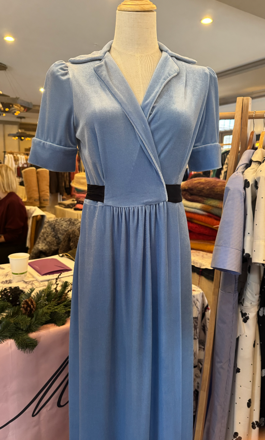 The Elsa Velvet Dress