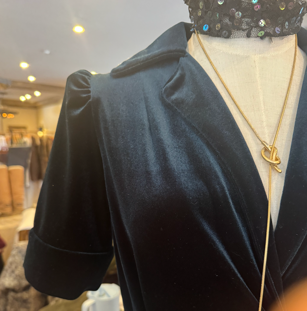 The Liz Velvet Dress